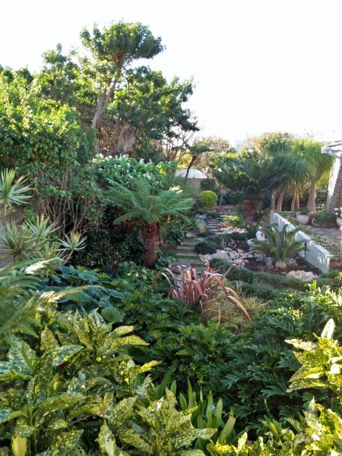Plettenberg Bay Lagoon Stay Exterior photo